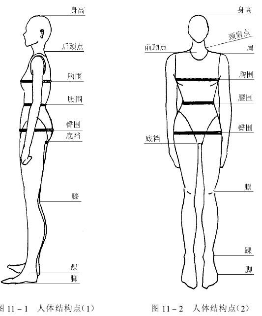 人体尺寸测量方法示意图